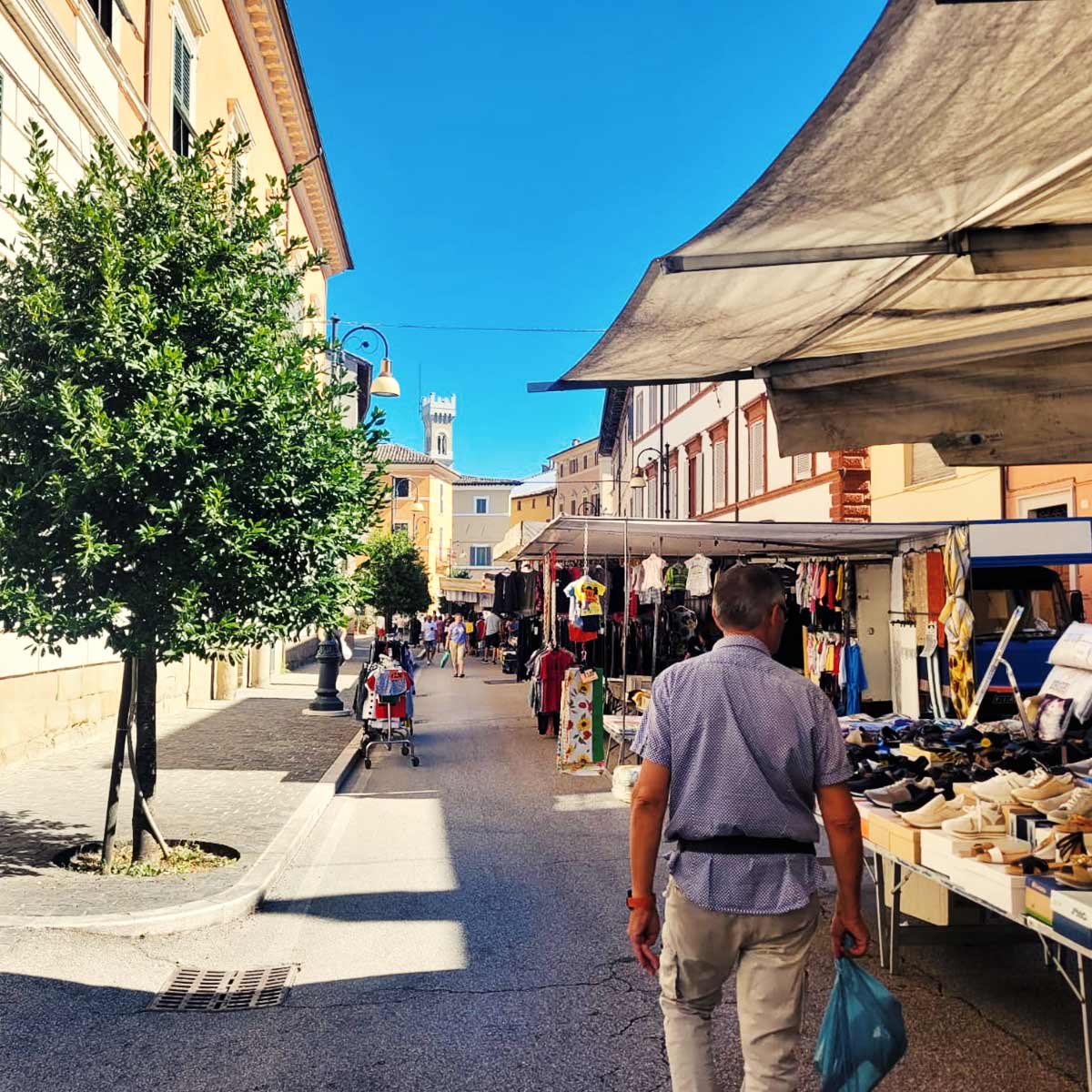 q_markt_agricamping-merlino-pergola-1